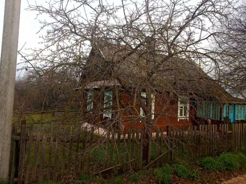 Продам  деревянный дом в д. Чемеры с замечательным месторасположением 3